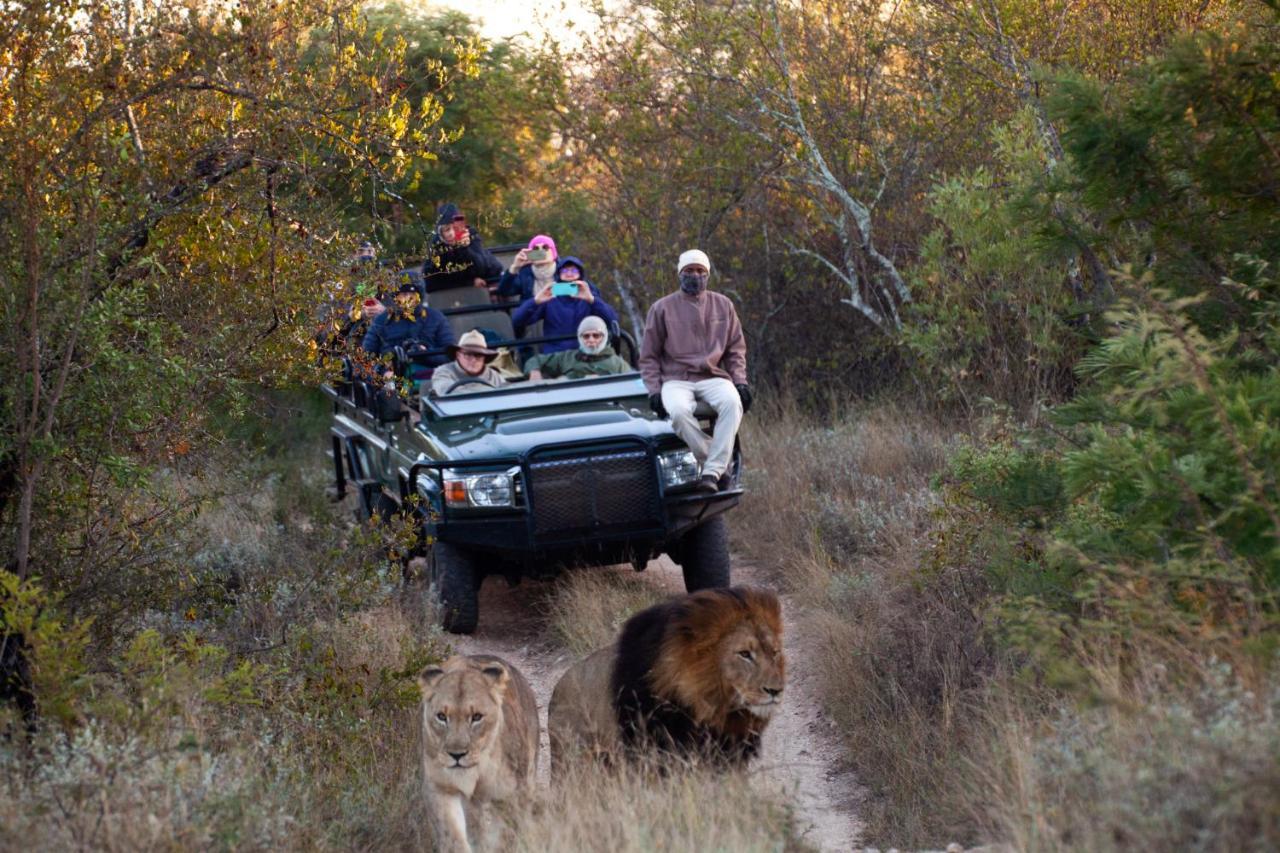 Karongwe Portfolio - Becks Safari Lodge Karongwe Game Reserve Luaran gambar