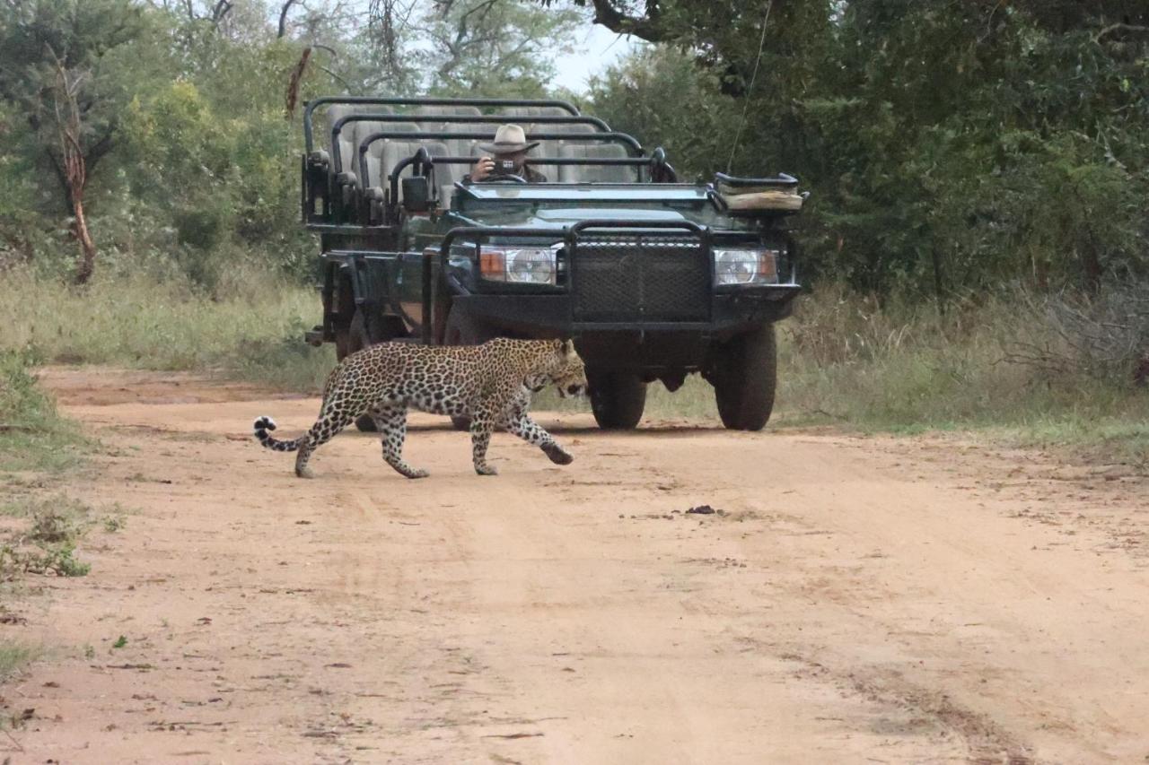 Karongwe Portfolio - Becks Safari Lodge Karongwe Game Reserve Luaran gambar