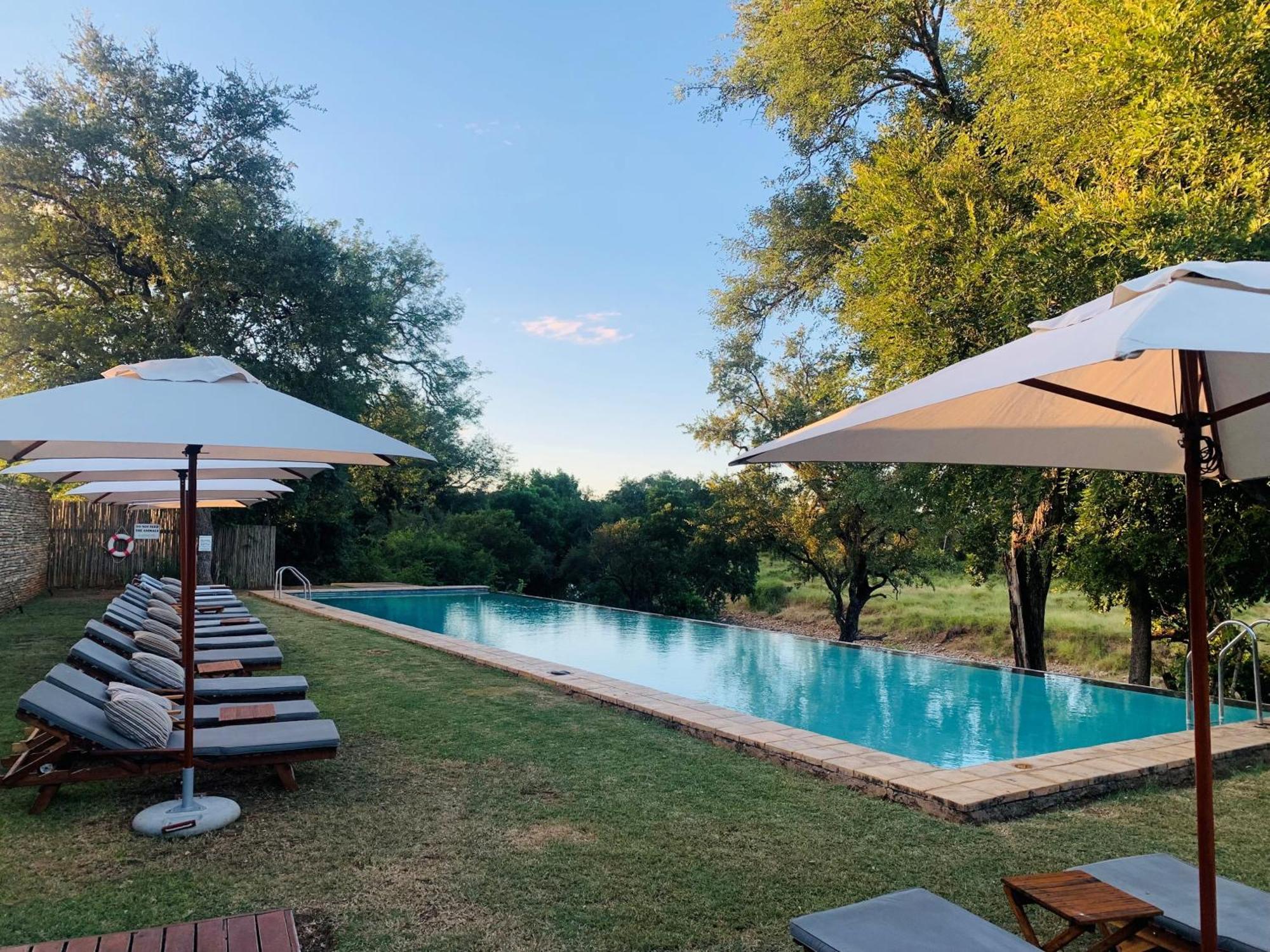 Karongwe Portfolio - Becks Safari Lodge Karongwe Game Reserve Luaran gambar