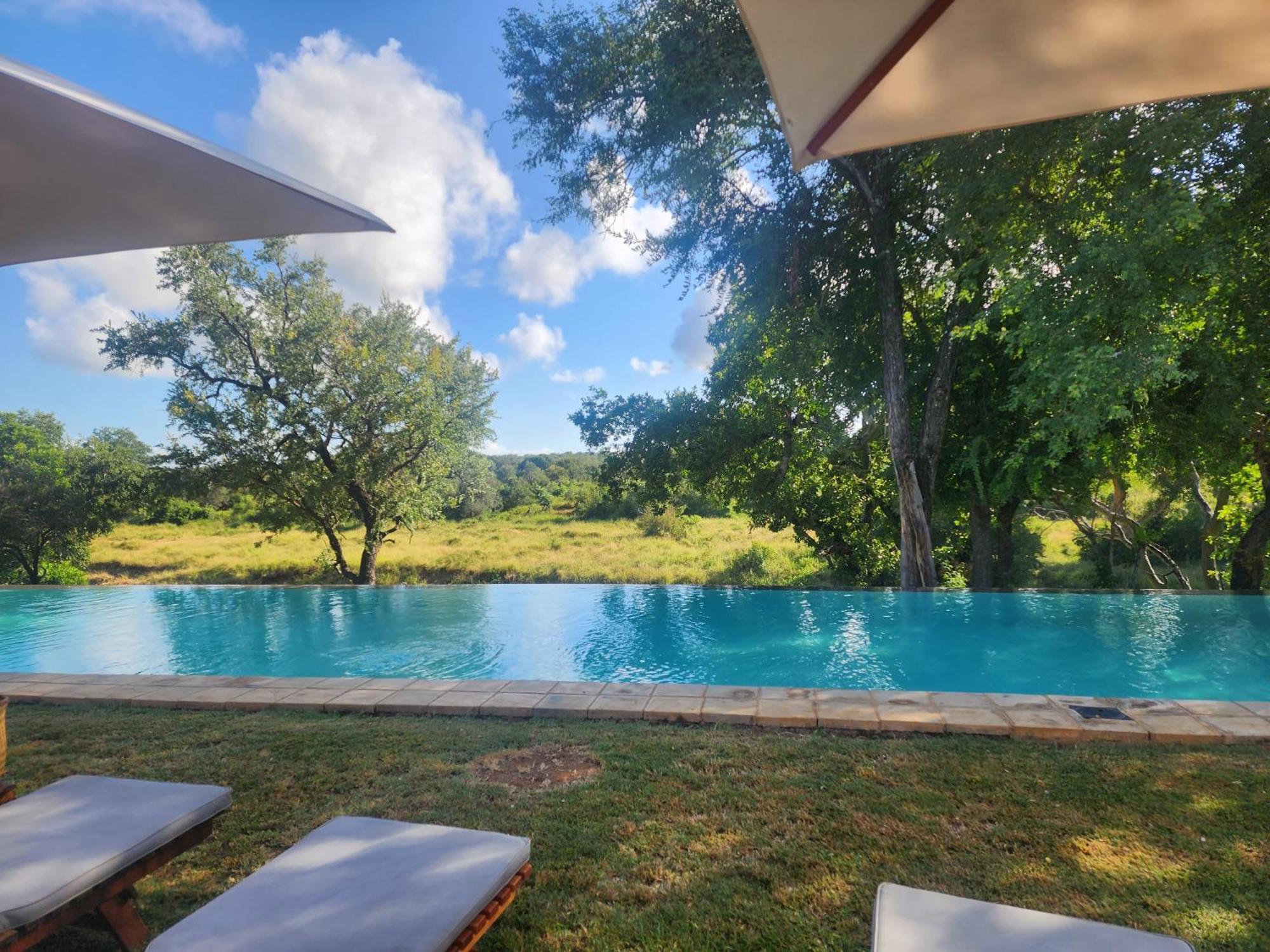 Karongwe Portfolio - Becks Safari Lodge Karongwe Game Reserve Luaran gambar