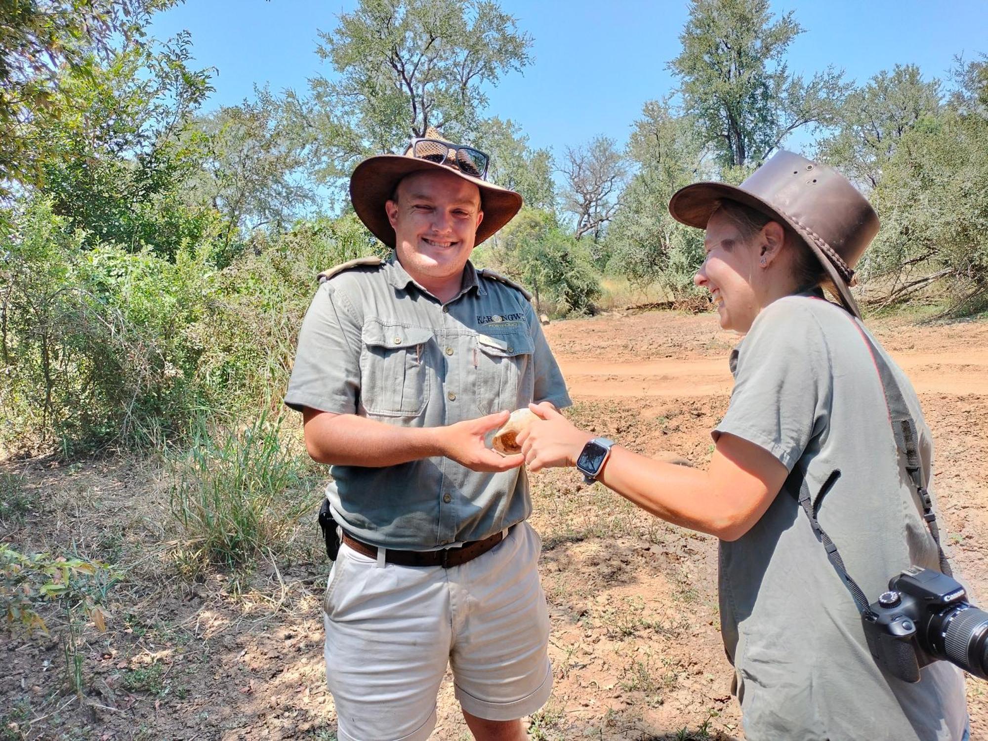Karongwe Portfolio - Becks Safari Lodge Karongwe Game Reserve Luaran gambar